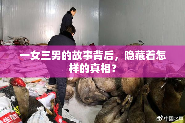 一女三男的故事背后，隐藏着怎样的真相？