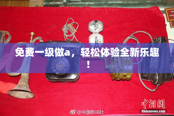 免费一级做a，轻松体验全新乐趣！