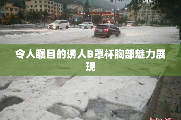 令人瞩目的诱人B罩杯胸部魅力展现