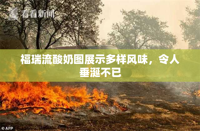 福瑞流酸奶图展示多样风味，令人垂涎不已