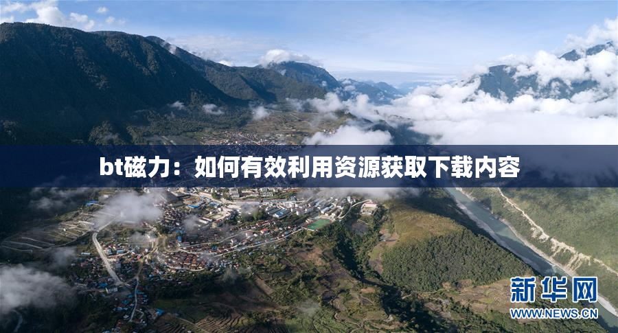 bt磁力：如何有效利用资源获取下载内容