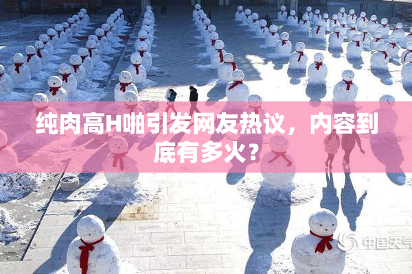 纯肉高H啪引发网友热议，内容到底有多火？