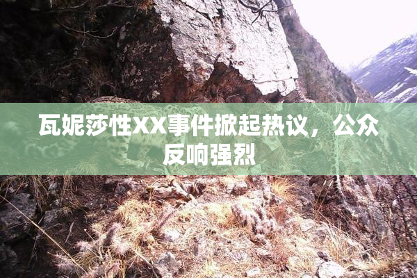 瓦妮莎性XX事件掀起热议，公众反响强烈