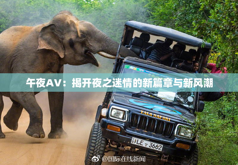 午夜AV：揭开夜之迷情的新篇章与新风潮