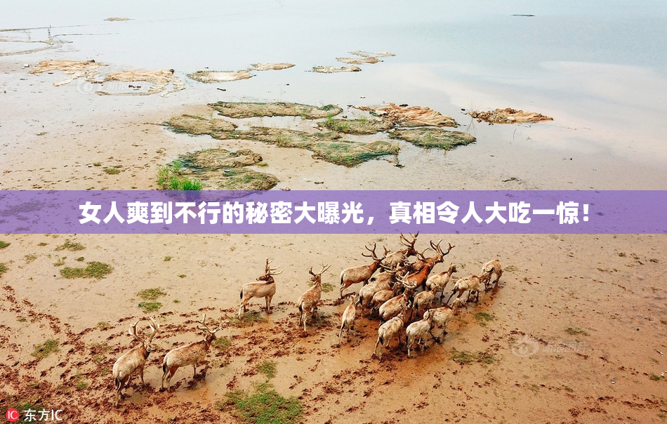 女人爽到不行的秘密大曝光，真相令人大吃一惊！