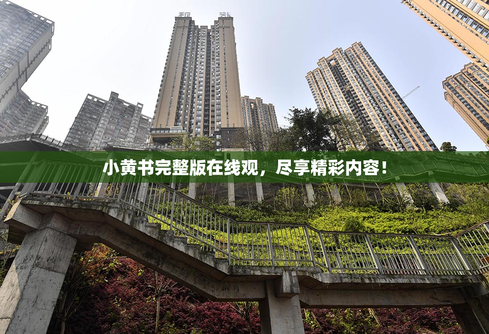 小黄书完整版在线观，尽享精彩内容！