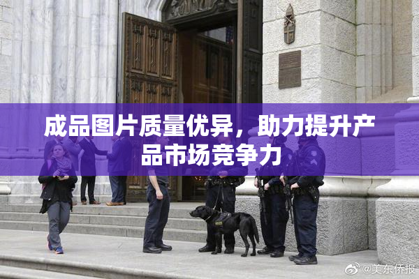 成品图片质量优异，助力提升产品市场竞争力
