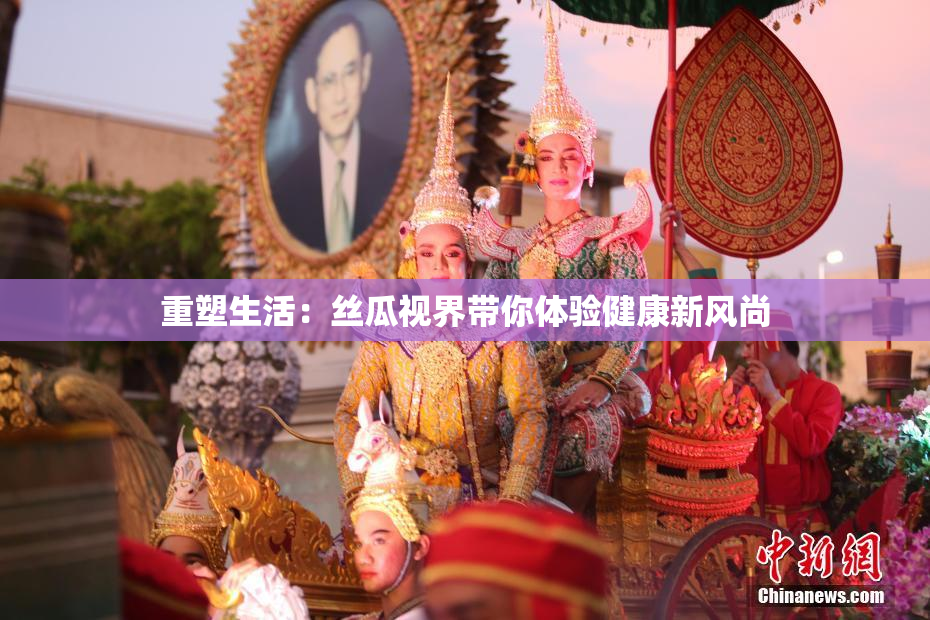重塑生活：丝瓜视界带你体验健康新风尚