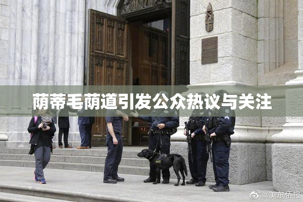 荫蒂毛荫道引发公众热议与关注