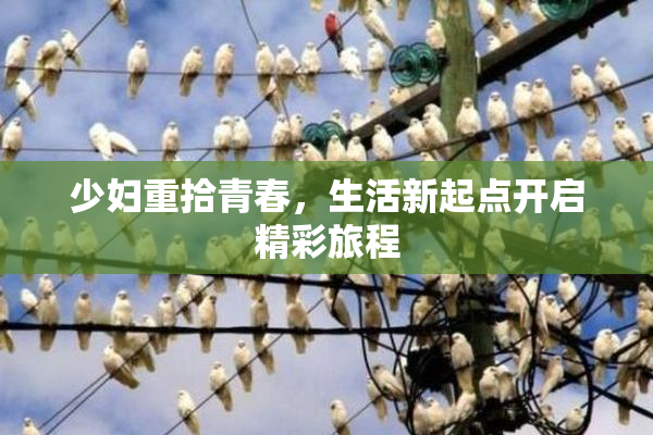 少妇重拾青春，生活新起点开启精彩旅程
