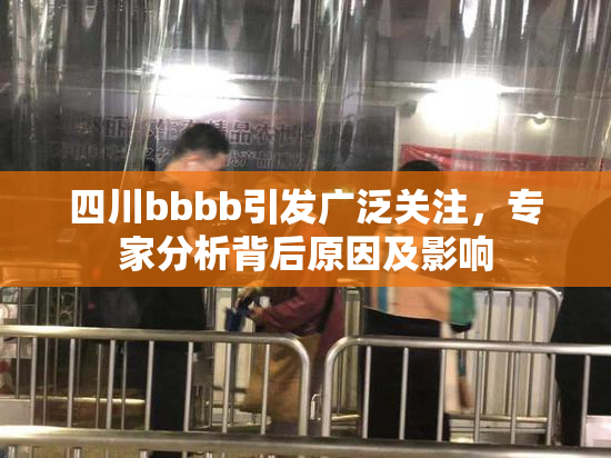 四川bbbb引发广泛关注，专家分析背后原因及影响