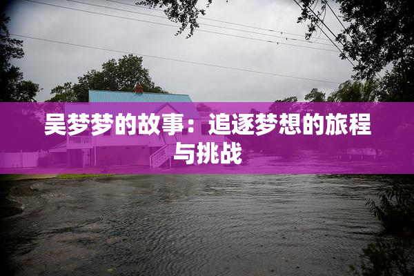 吴梦梦的故事：追逐梦想的旅程与挑战