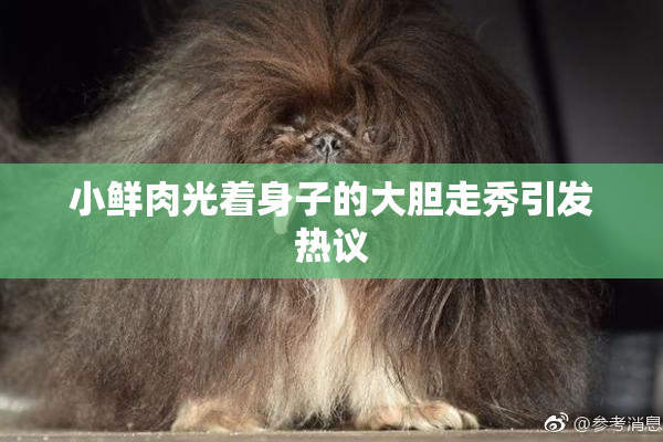 小鲜肉光着身子的大胆走秀引发热议