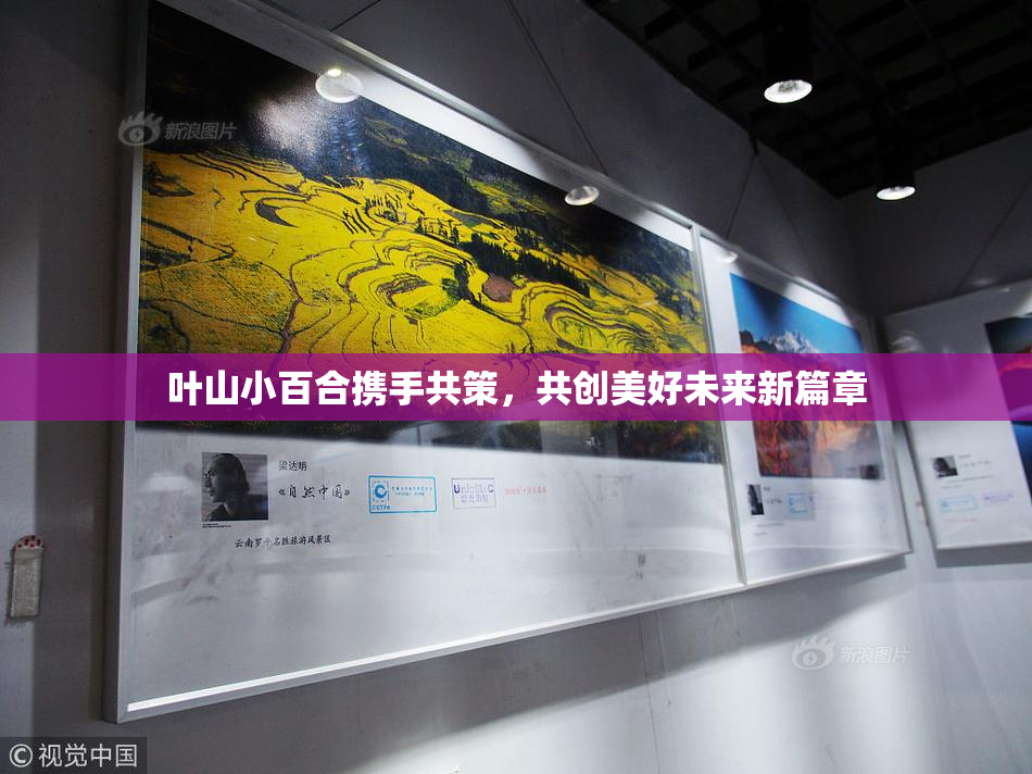叶山小百合携手共策，共创美好未来新篇章