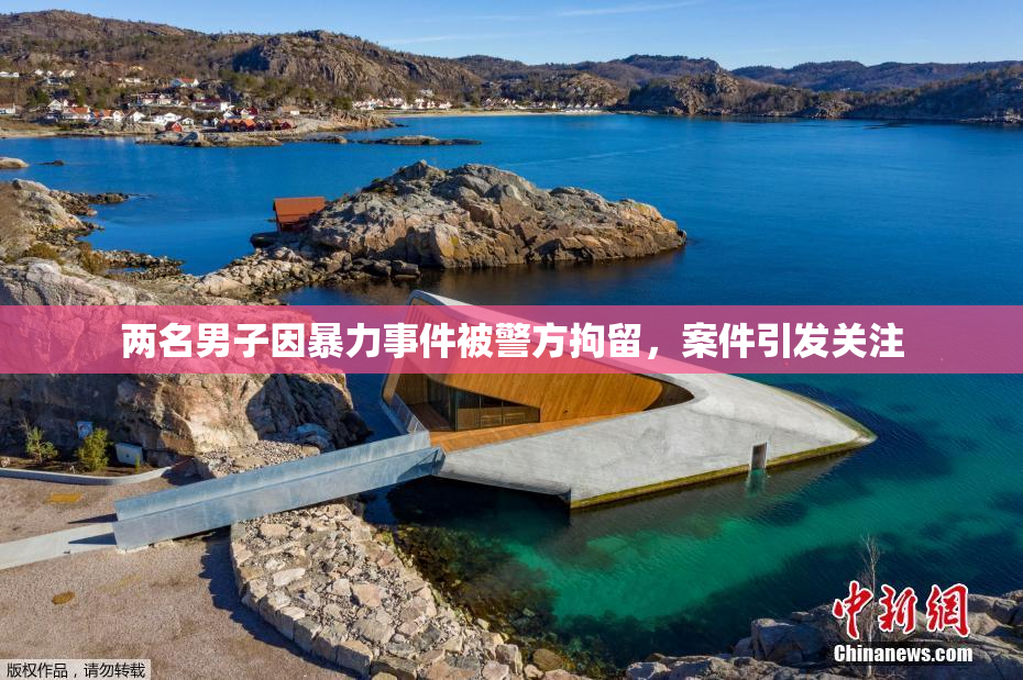 两名男子因暴力事件被警方拘留，案件引发关注