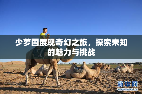 少萝国展现奇幻之旅，探索未知的魅力与挑战