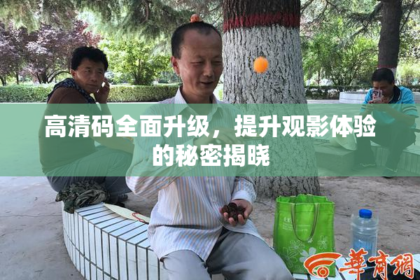高清码全面升级，提升观影体验的秘密揭晓