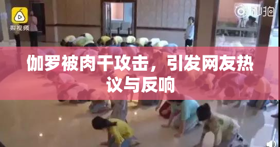 伽罗被肉干攻击，引发网友热议与反响
