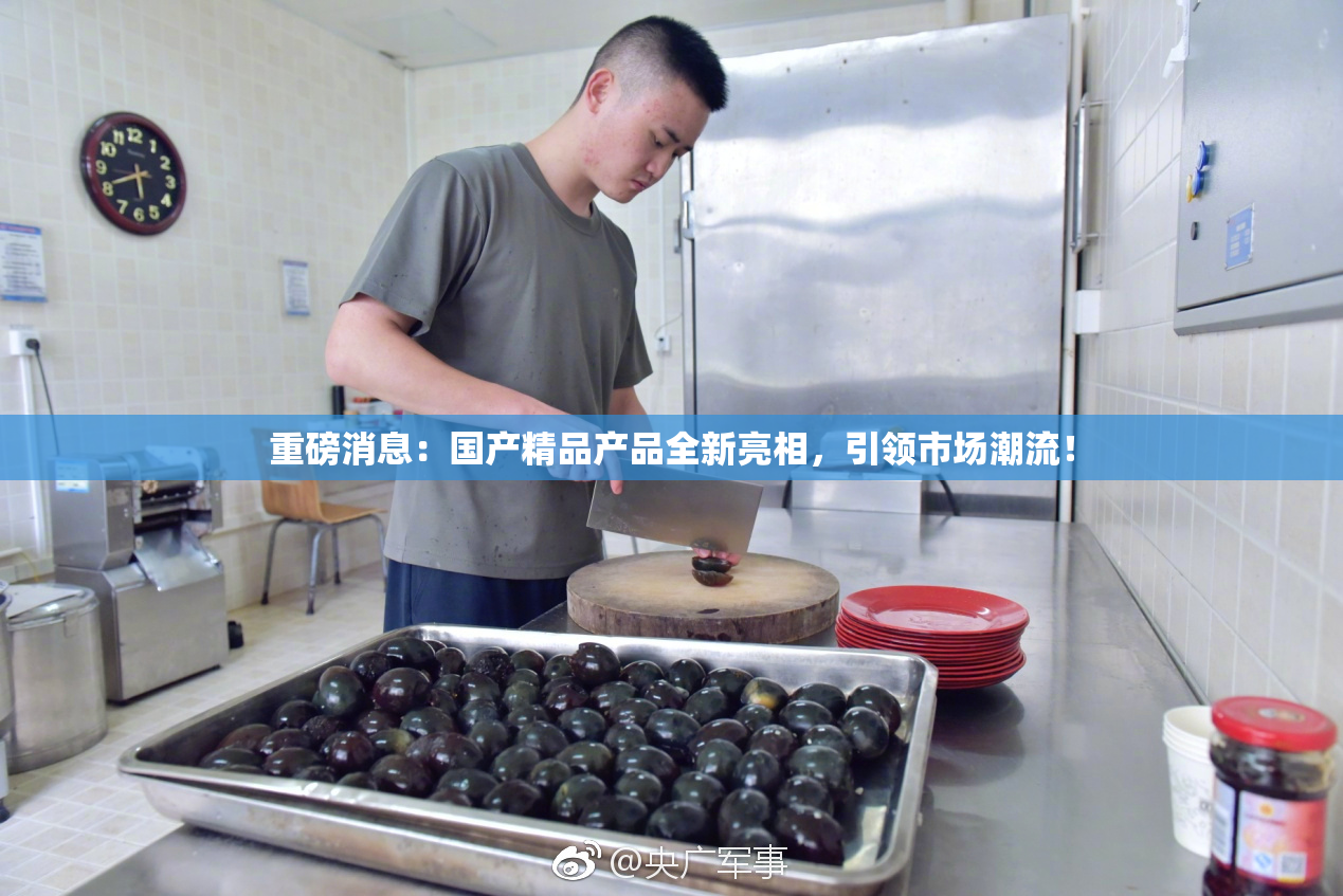 重磅消息：国产精品产品全新亮相，引领市场潮流！