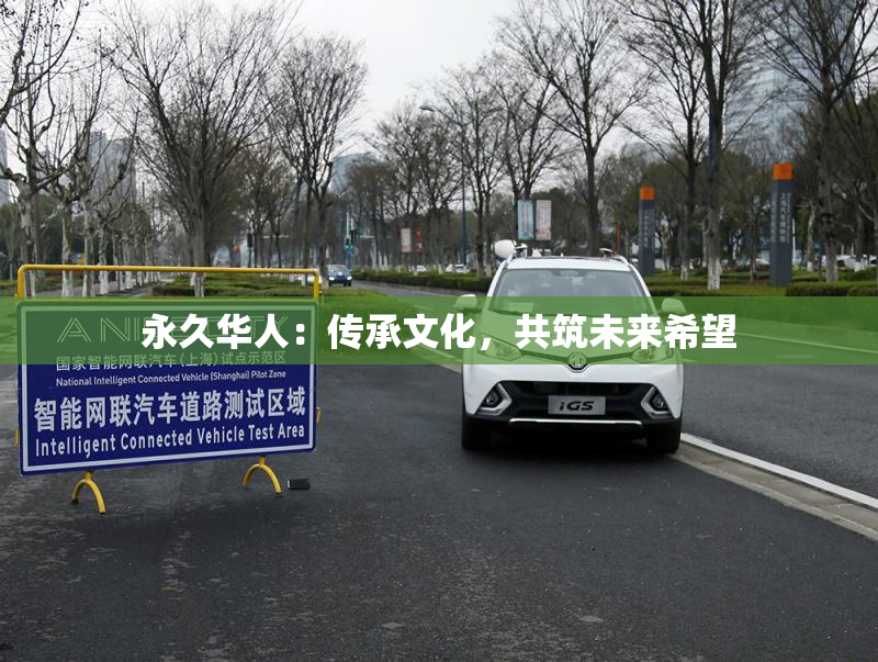 永久华人：传承文化，共筑未来希望