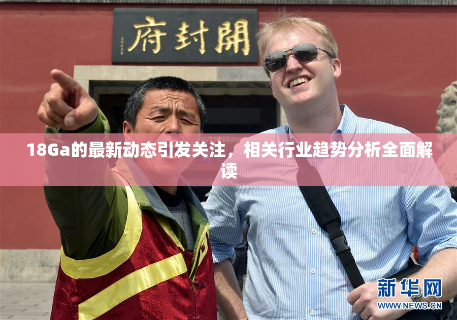 18Ga的最新动态引发关注，相关行业趋势分析全面解读