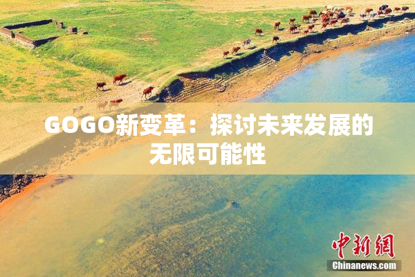 GOGO新变革：探讨未来发展的无限可能性