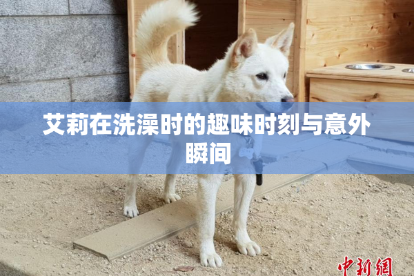艾莉在洗澡时的趣味时刻与意外瞬间