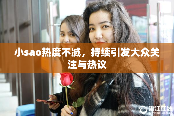 小sao热度不减，持续引发大众关注与热议
