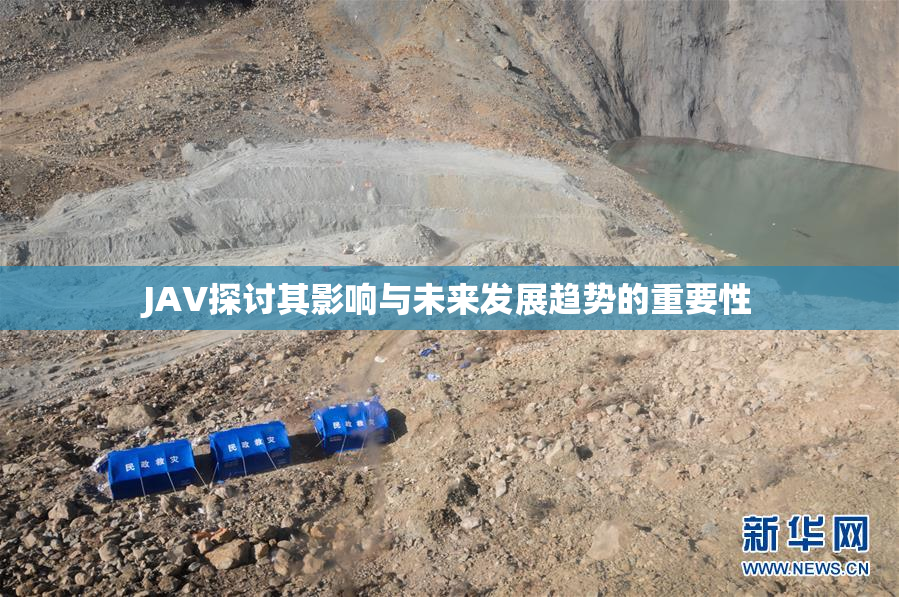 JAV探讨其影响与未来发展趋势的重要性