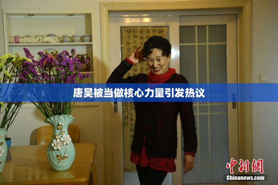 唐昊被当做核心力量引发热议