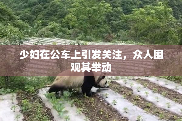 少妇在公车上引发关注，众人围观其举动