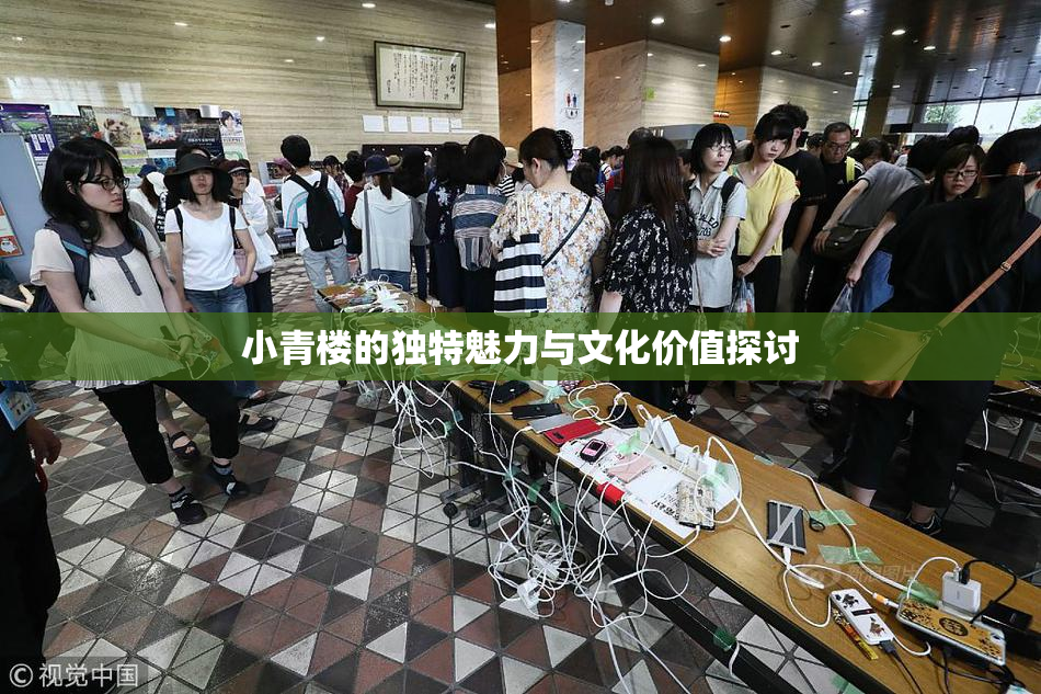 小青楼的独特魅力与文化价值探讨