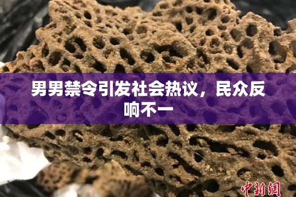 男男禁令引发社会热议，民众反响不一