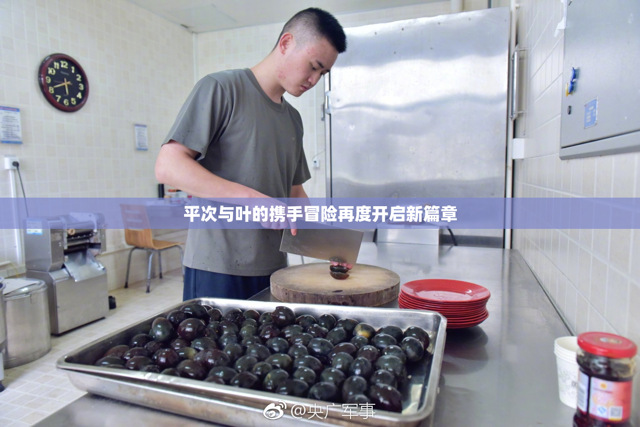 平次与叶的携手冒险再度开启新篇章
