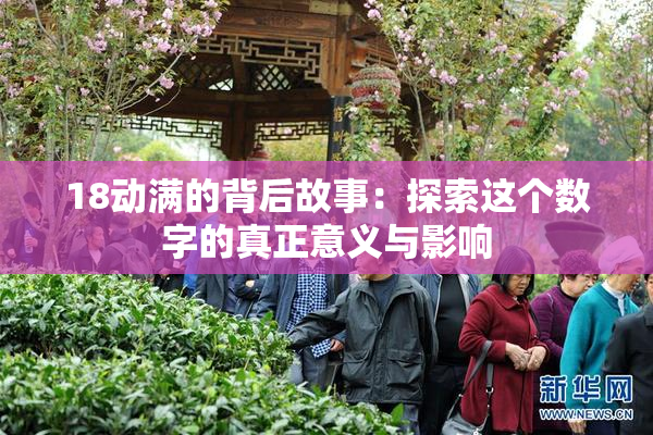 18动满的背后故事：探索这个数字的真正意义与影响