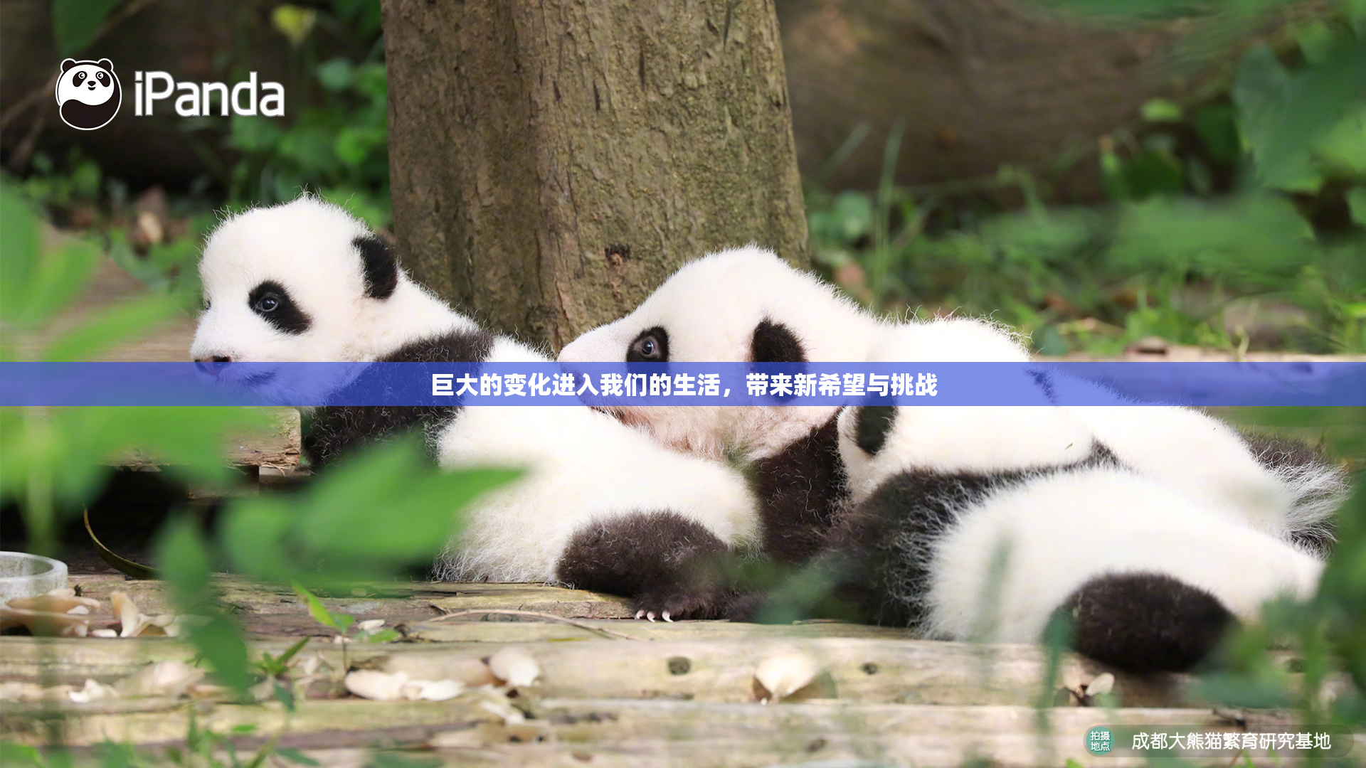 巨大的变化进入我们的生活，带来新希望与挑战