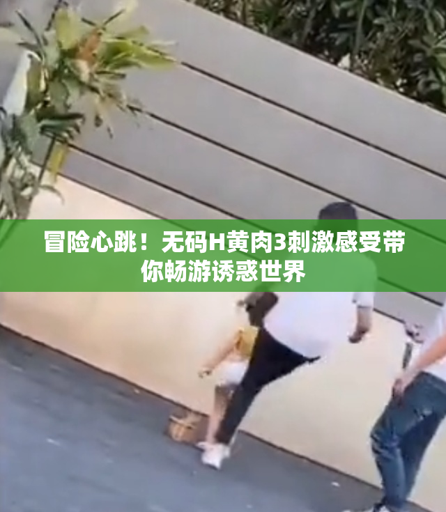 冒险心跳！无码H黄肉3刺激感受带你畅游诱惑世界