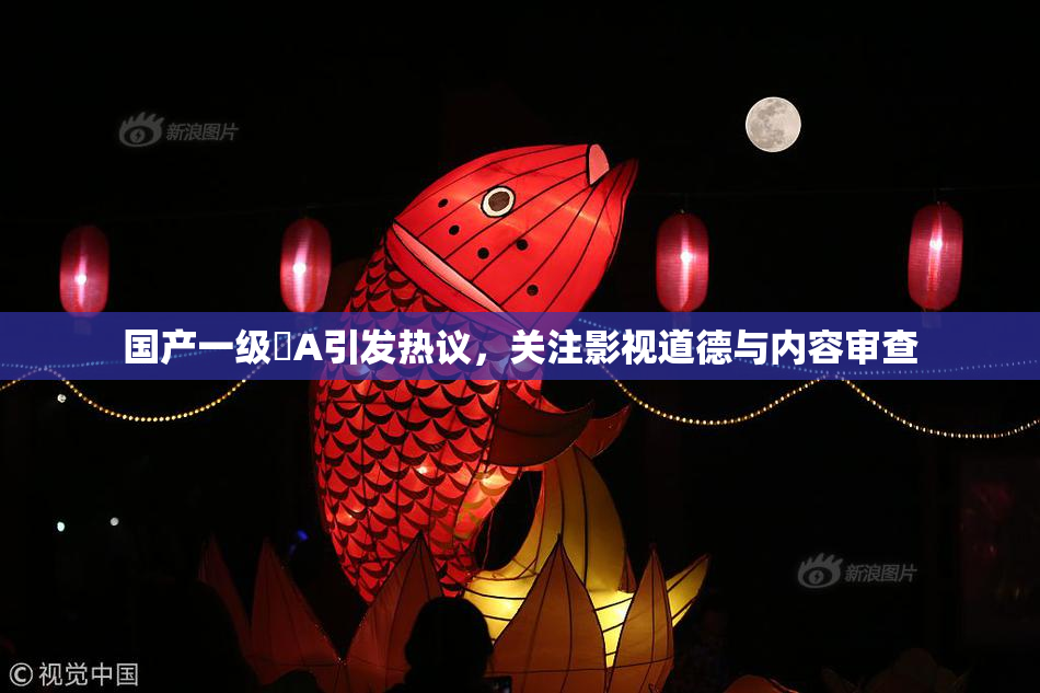 国产一级婬A引发热议，关注影视道德与内容审查