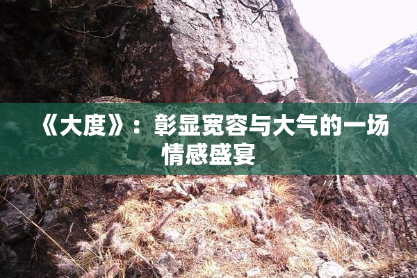 《大度》：彰显宽容与大气的一场情感盛宴