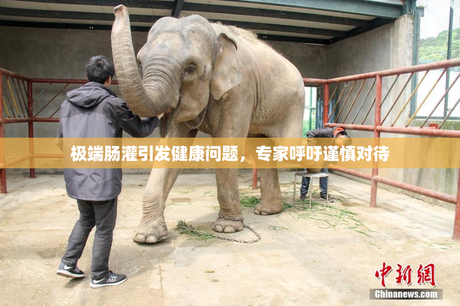 极端肠灌引发健康问题，专家呼吁谨慎对待
