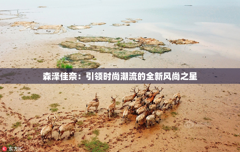 森泽佳奈：引领时尚潮流的全新风尚之星