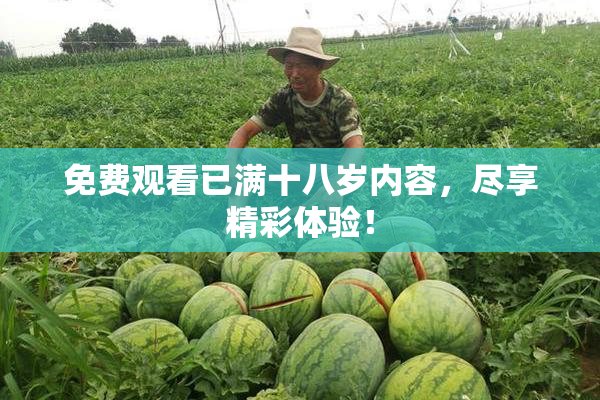 免费观看已满十八岁内容，尽享精彩体验！