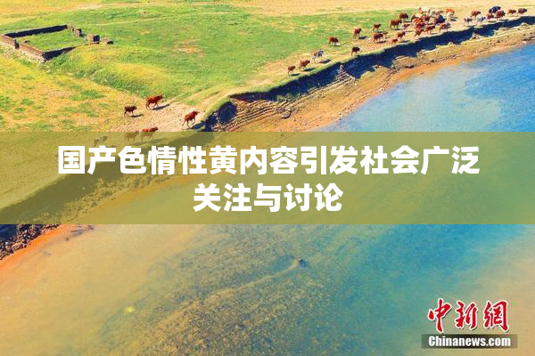 国产色情性黄内容引发社会广泛关注与讨论