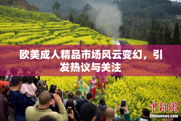 欧美成人精品市场风云变幻，引发热议与关注