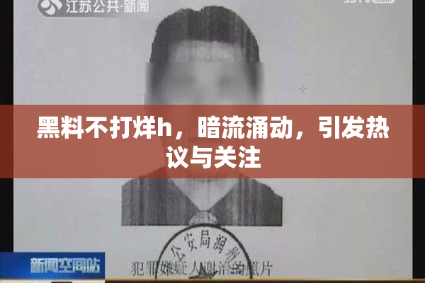 黑料不打烊h，暗流涌动，引发热议与关注