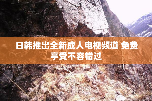 日韩推出全新成人电视频道 免费享受不容错过