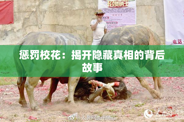 惩罚校花：揭开隐藏真相的背后故事