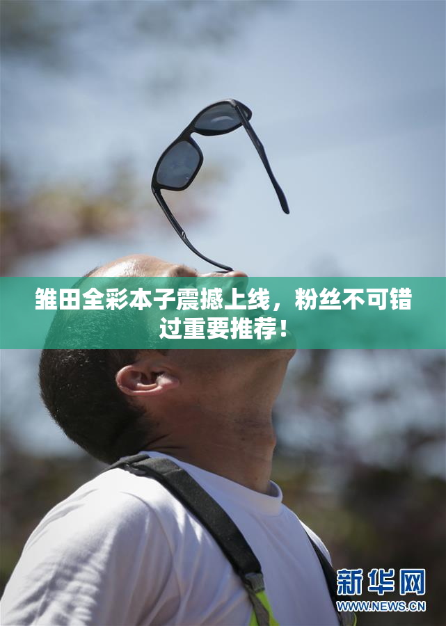 雏田全彩本子震撼上线，粉丝不可错过重要推荐！