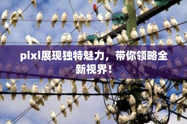 pixi展现独特魅力，带你领略全新视界！