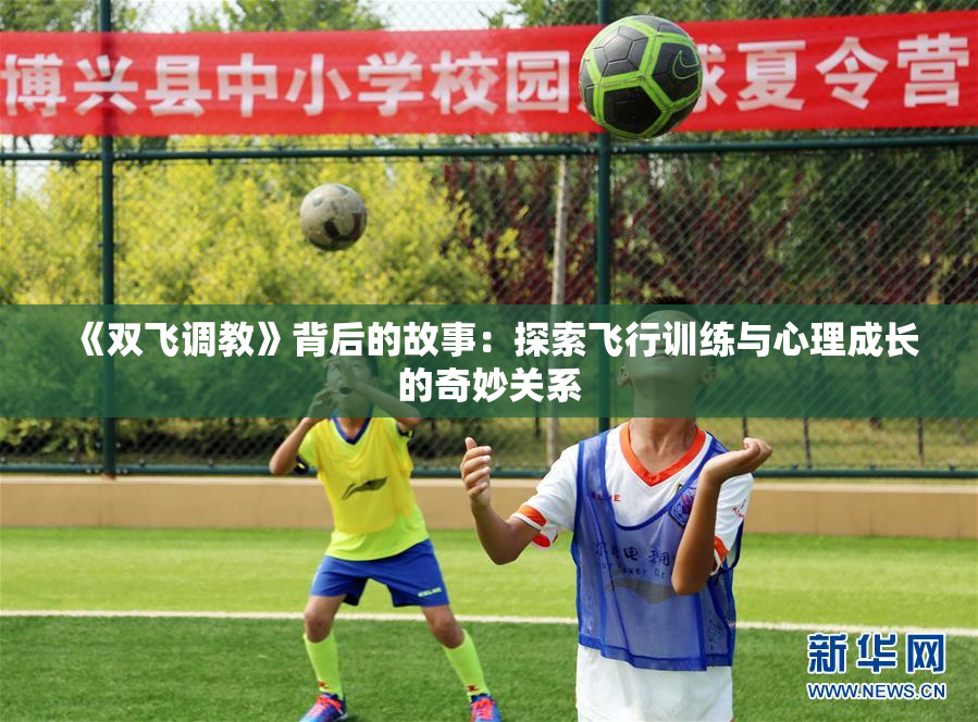 《双飞调教》背后的故事：探索飞行训练与心理成长的奇妙关系